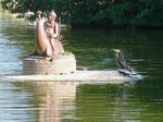 Ein Kormoran beobachtet die Ftterung des Seehundes im Kurpark Cuxhaven, 10.9.2015